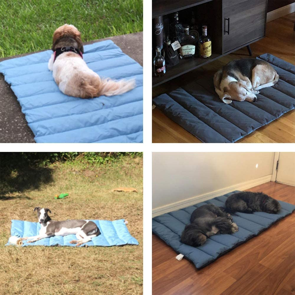 Outdoor dog roll up bed best sale